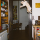 Image for article titled What cats do when we’re not watching